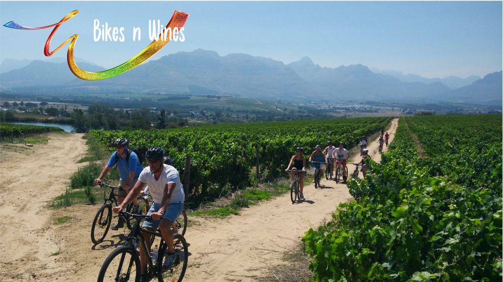 Bikes n Wines