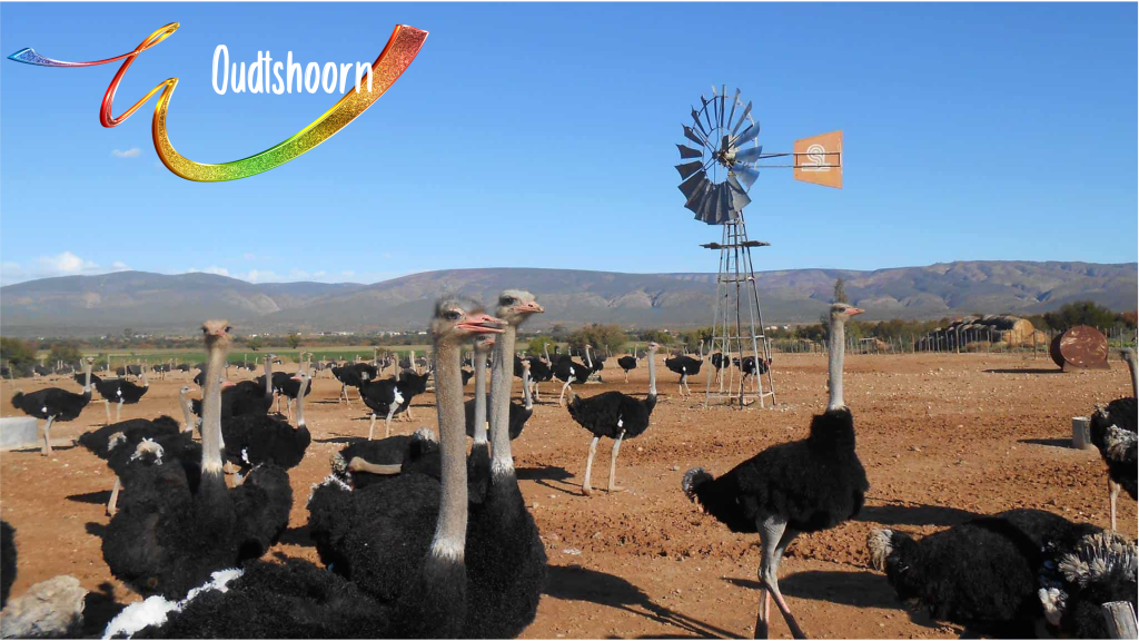 Oudtshoorn